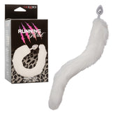 RUNNING WILD WHITE TAIL