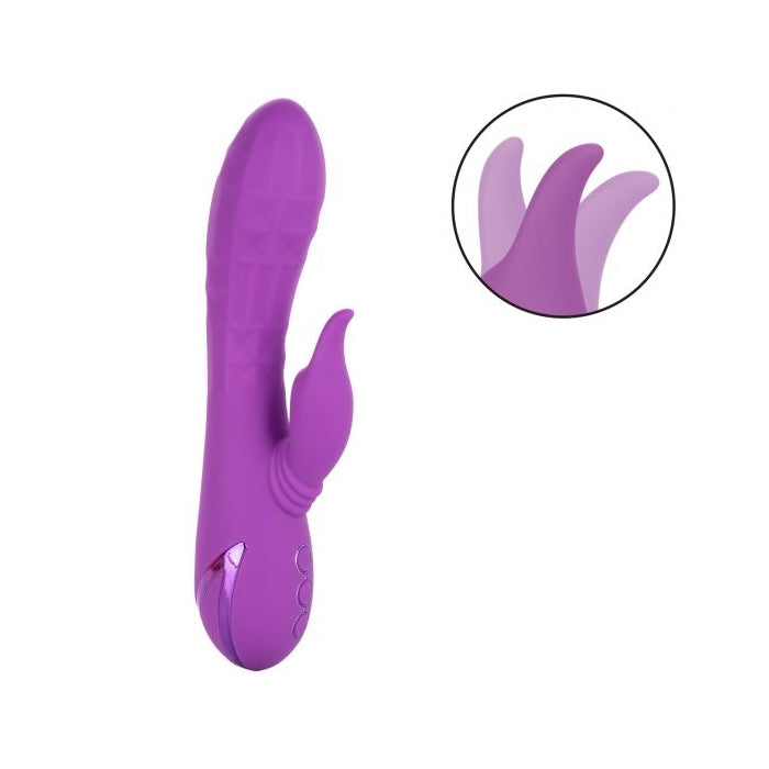 CALIFORNIA DREAMING VALLEY VAMP - PURPLE