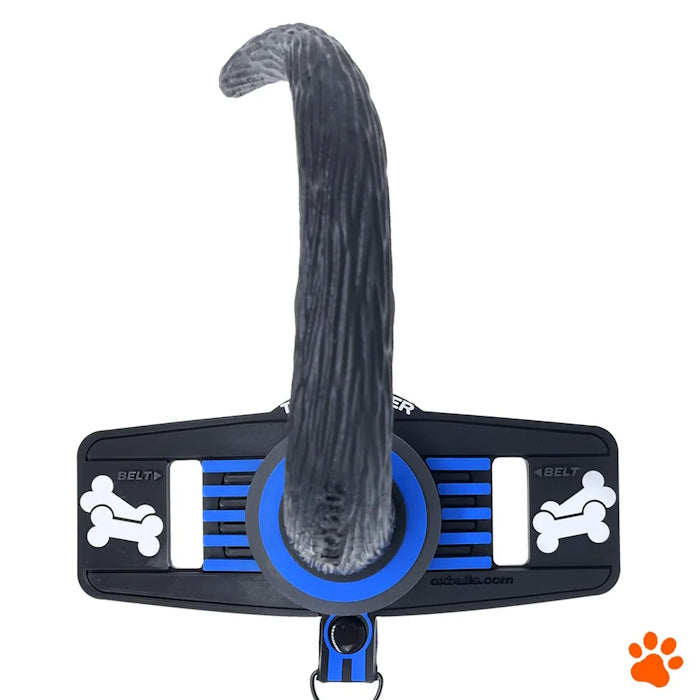 TAIL HANDLER BELT-STRAP SHOW TAIL - BLUE