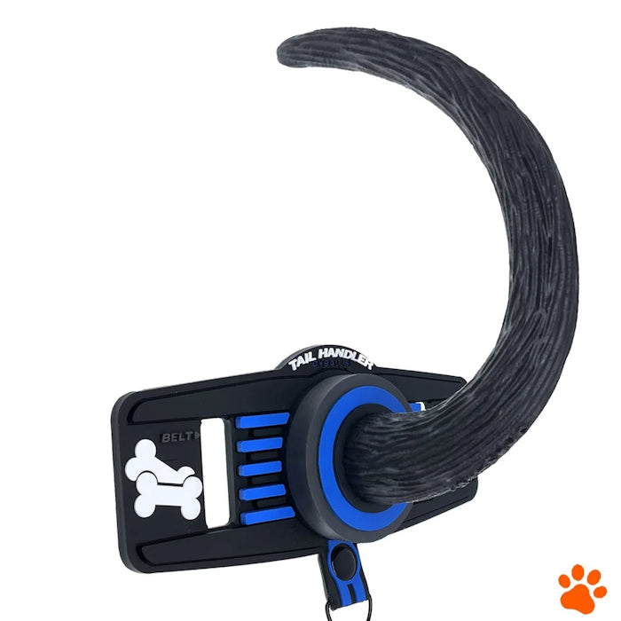 TAIL HANDLER BELT-STRAP SHOW TAIL - BLUE