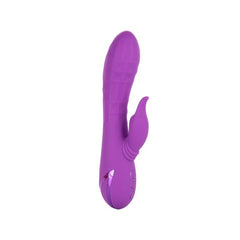 CALIFORNIA DREAMING VALLEY VAMP - PURPLE