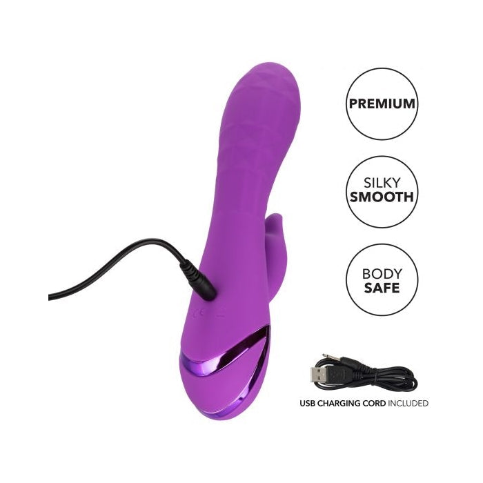 CALIFORNIA DREAMING VALLEY VAMP - PURPLE