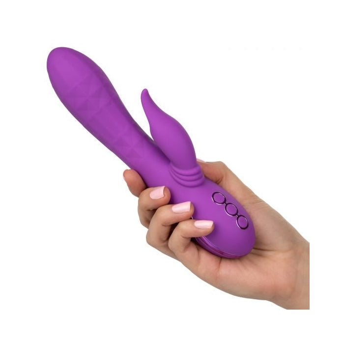 CALIFORNIA DREAMING VALLEY VAMP - PURPLE