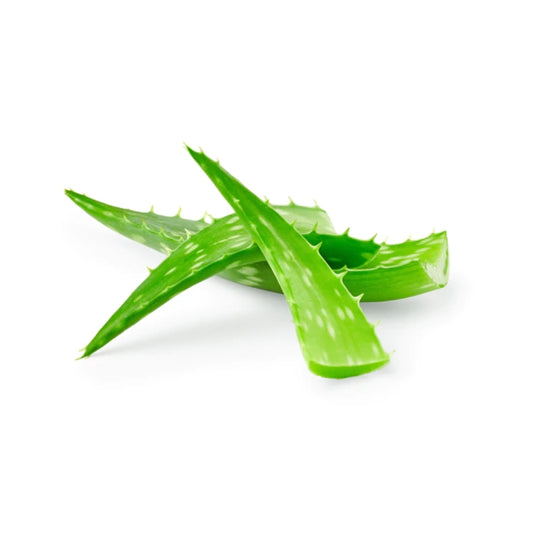 WET ESSENTIAL95 95% ORGANIC ALOE BASED LUBE 1OZ